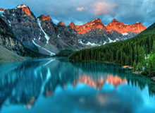 足总杯-舍什科破门维尔贝克弑旧主 曼联1-2布莱顿